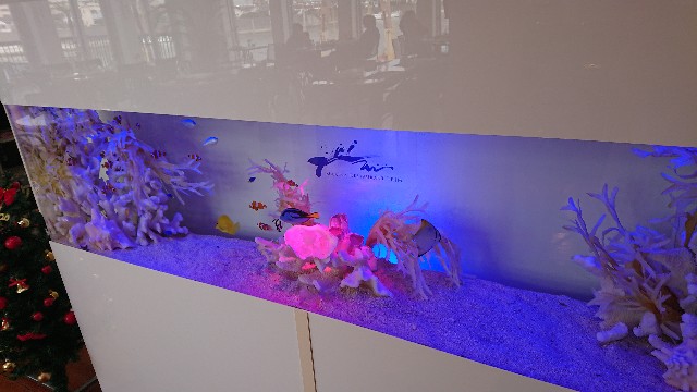 f:id:sayanokuni:20171116083851j:image f:id:sayanokuni:20171116083851j:image