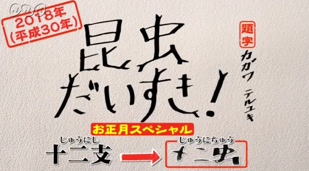 カマキリ 先生 セミ 再 放送