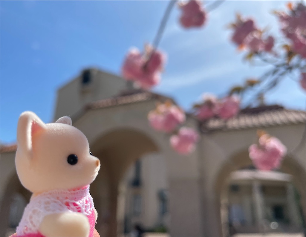 f:id:sayochi_e:20220424153253j:image f:id:sayochi_e:20220424153253j:image