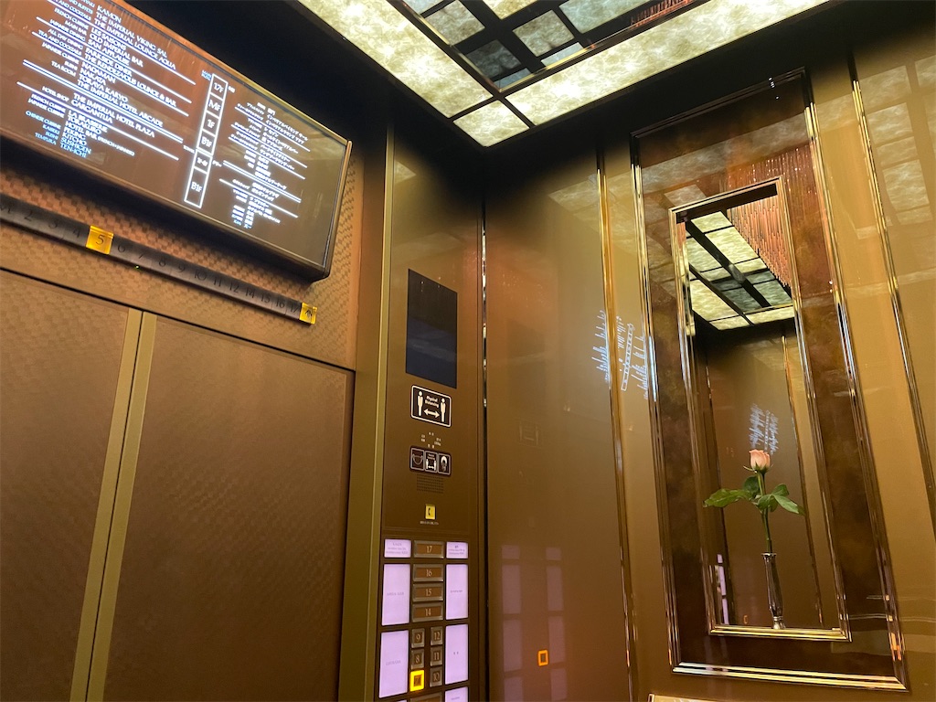 f:id:sayochi_e:20220728181003j:image f:id:sayochi_e:20220728181003j:image