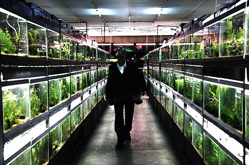 f:id:sayokokarikari:20200716143951j:plain