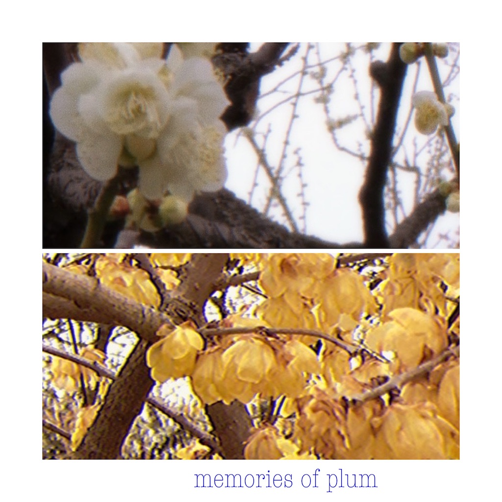 f:id:sayonaraao:20230224110308j:image