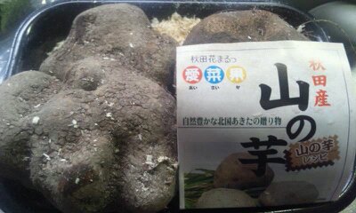 イメージ 1