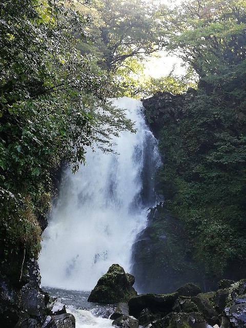 f:id:sayonaradorami:20191007101154j:image