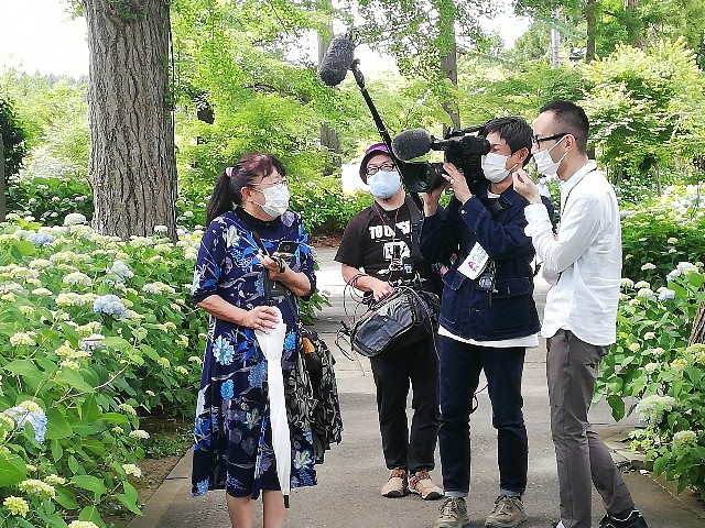 f:id:sayonaradorami:20200621191748j:image