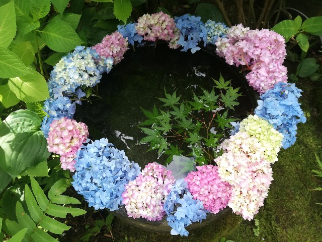 f:id:sayonaradorami:20200621191830j:image