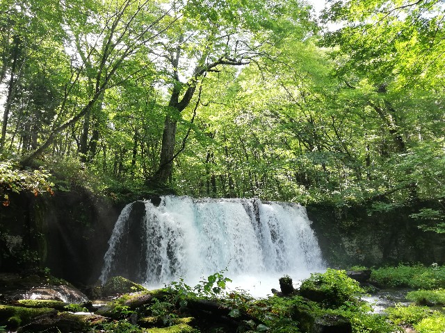 f:id:sayonaradorami:20200924155402j:image f:id:sayonaradorami:20200924155402j:image