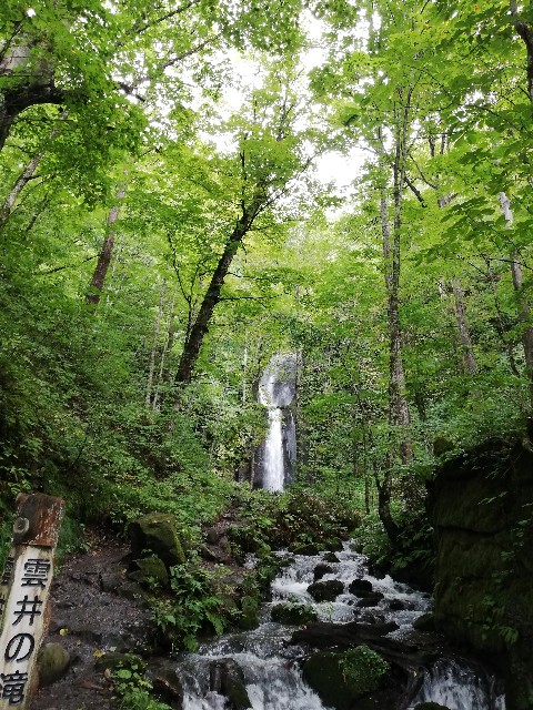 f:id:sayonaradorami:20200924155647j:image f:id:sayonaradorami:20200924155647j:image