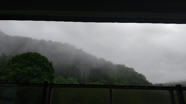 f:id:sayonaradorami:20220629090518j:image f:id:sayonaradorami:20220629090518j:image