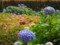20090527093540