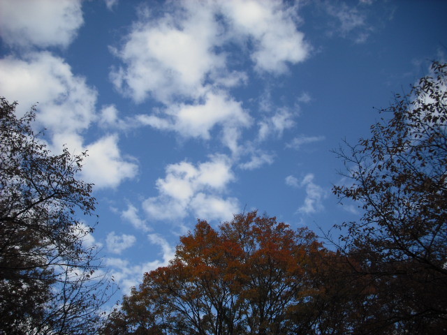 20101123213247