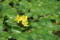 20110525154635