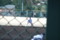 20120404234326