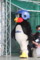 20120526010326