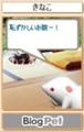 きなこ　恥ずかしいお腹