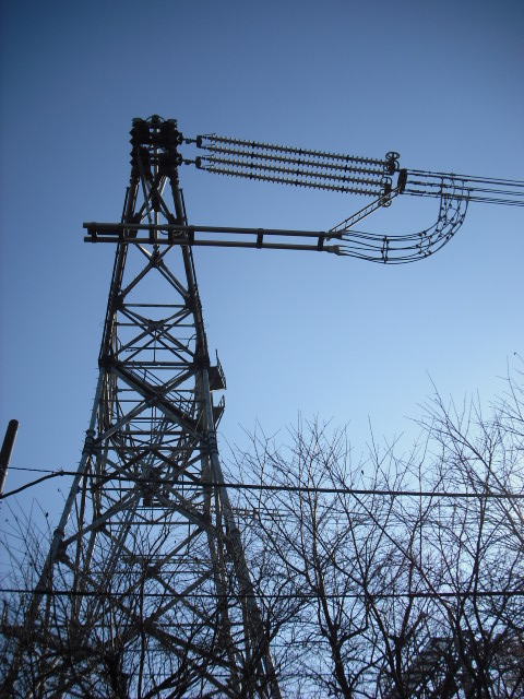 20081216134646