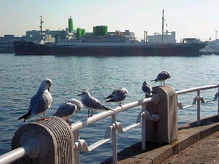 横浜