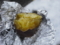 20100202143722