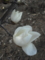20110327190934