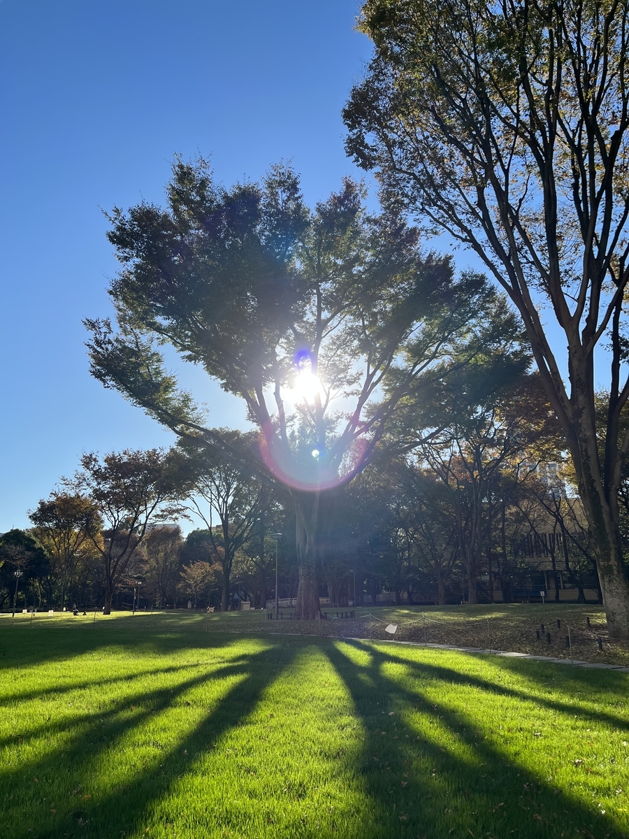 f:id:sayucafe:20211111201640j:plain