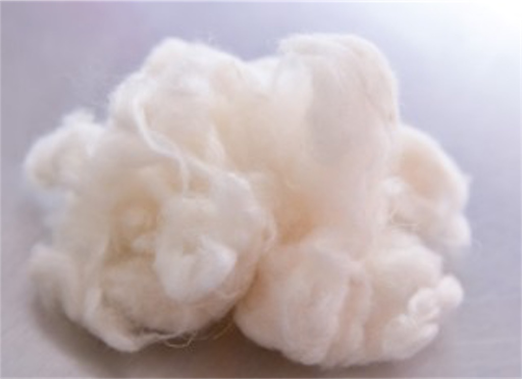 f:id:sayuki0320:20171110175214j:image