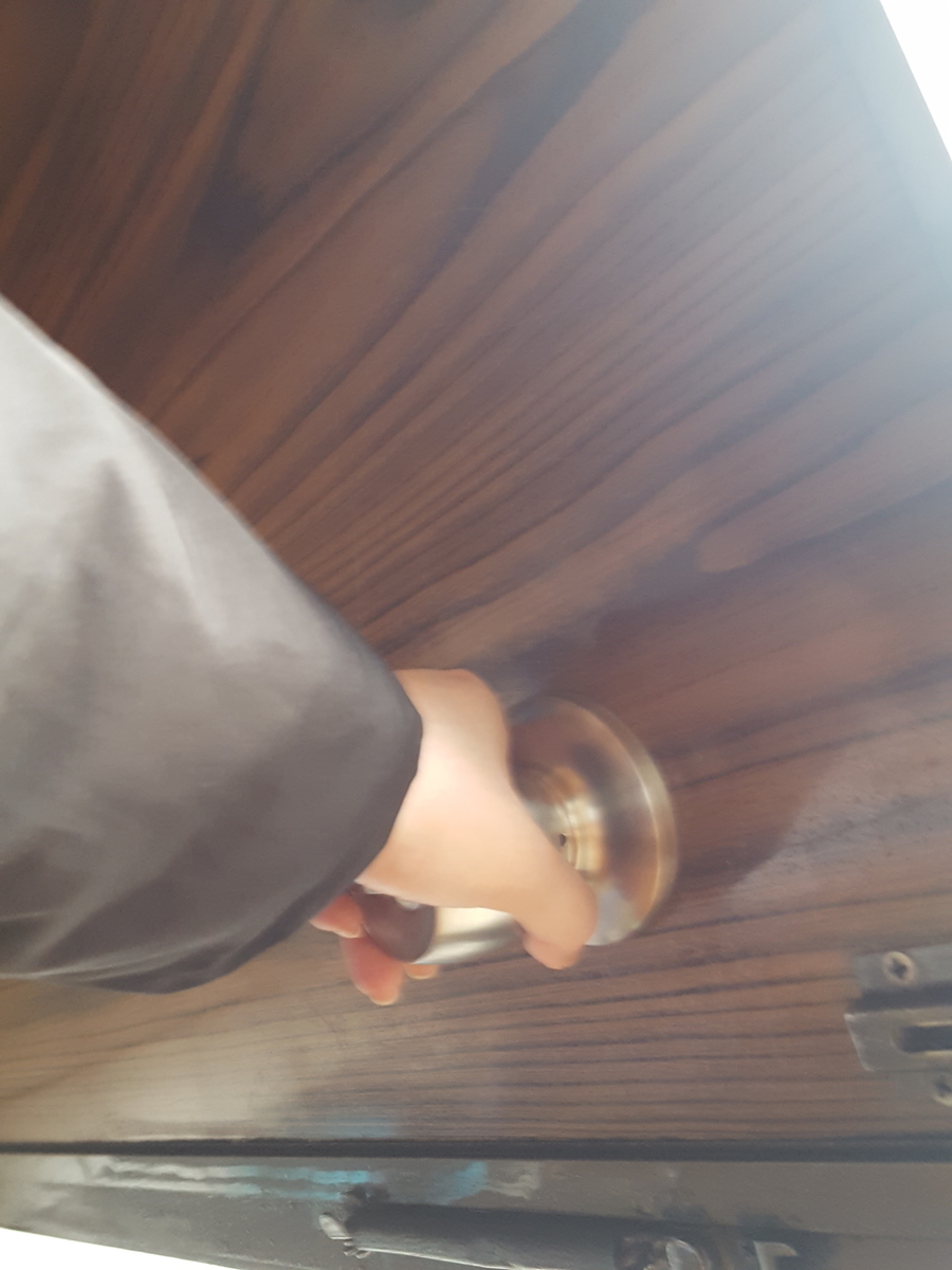 f:id:sayukipper:20190402094109j:plain