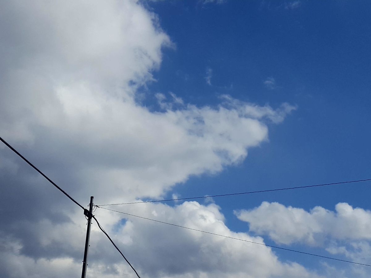 f:id:sayukipper:20190406151904j:plain