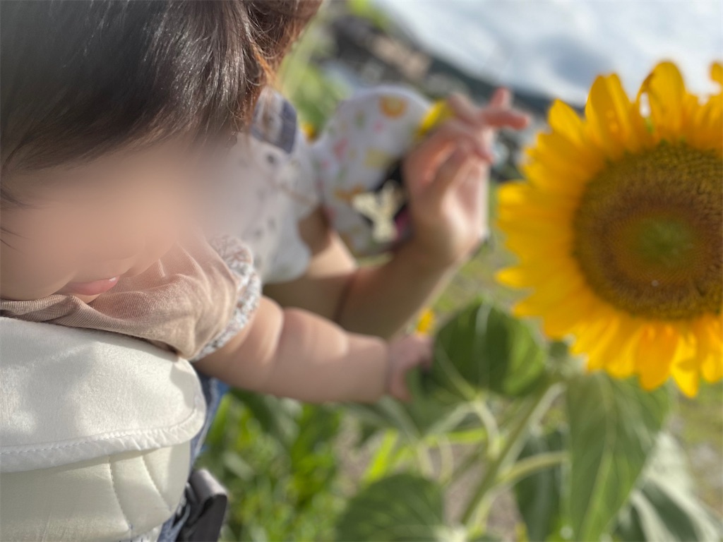 f:id:sayumi_aug:20220708013727j:image