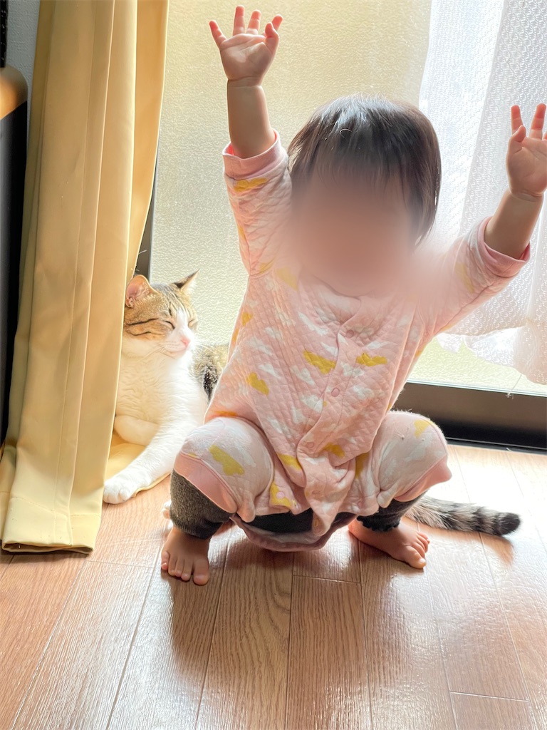 f:id:sayumi_aug:20221220005646j:image