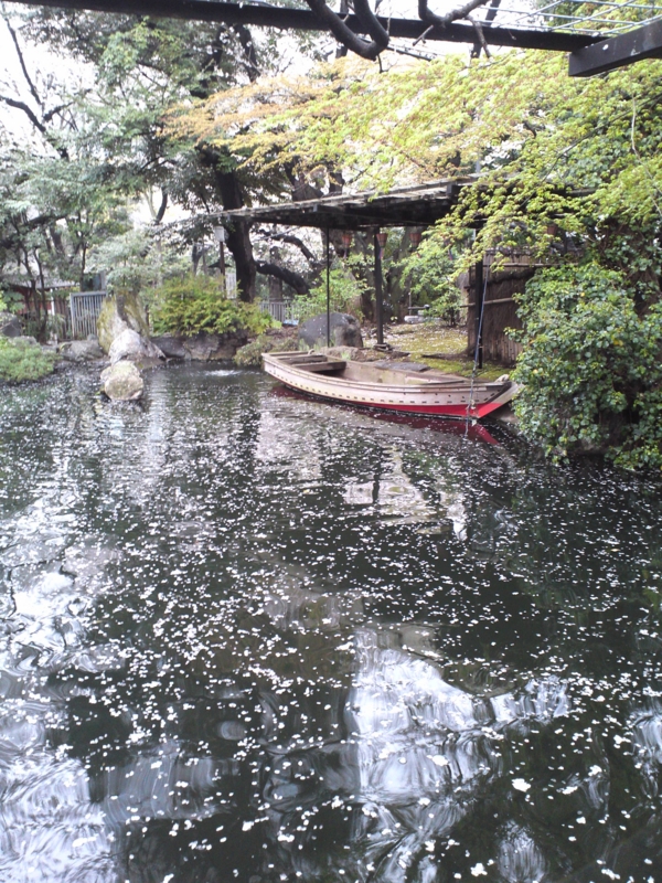 愛宕神社の池