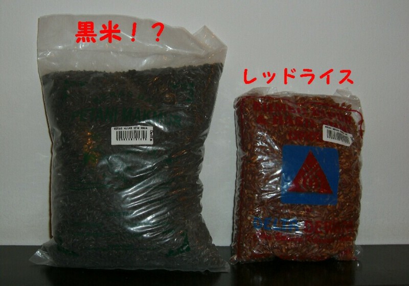 f:id:sayuri_4413:20101203151148j:image f:id:sayuri_4413:20101203151148j:image