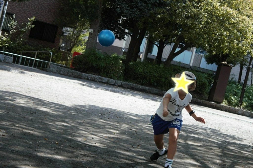 f:id:sayurikai:20170928153854j:plain f:id:sayurikai:20170928153854j:plain