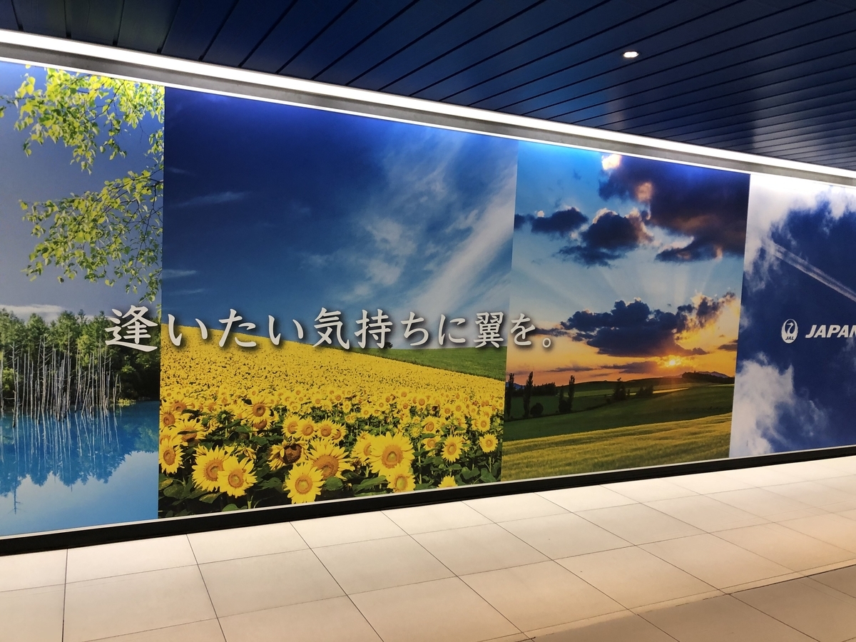 f:id:sayurimain:20210812192757j:plain