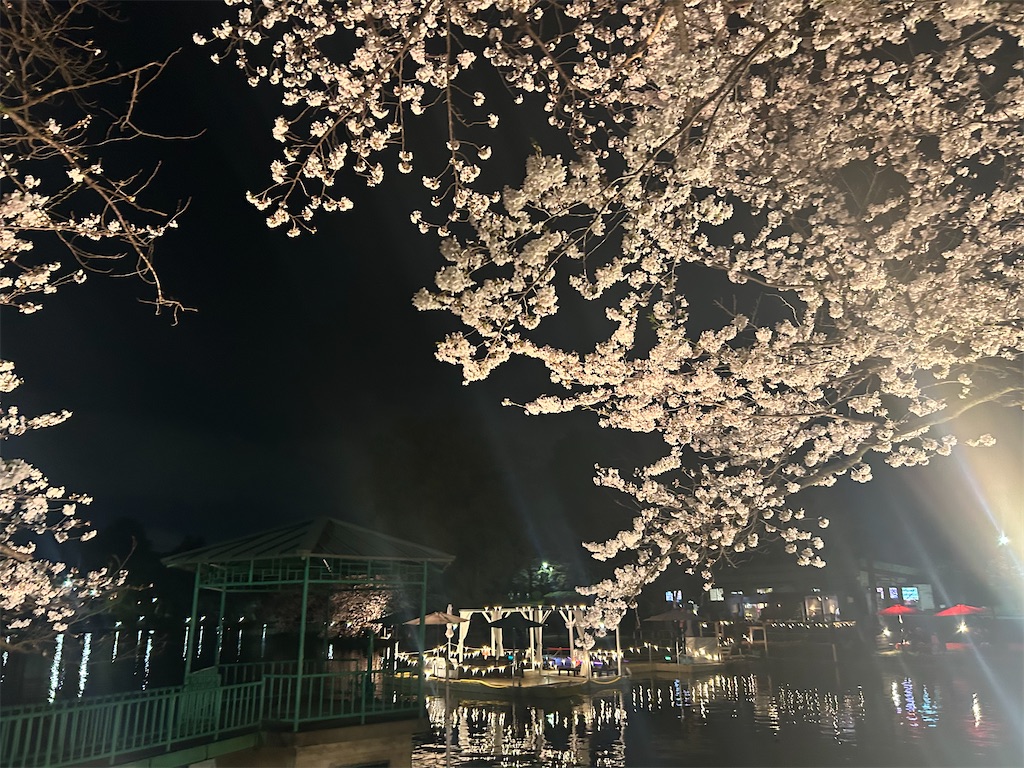 f:id:sayurin-tea:20250417123505j:image