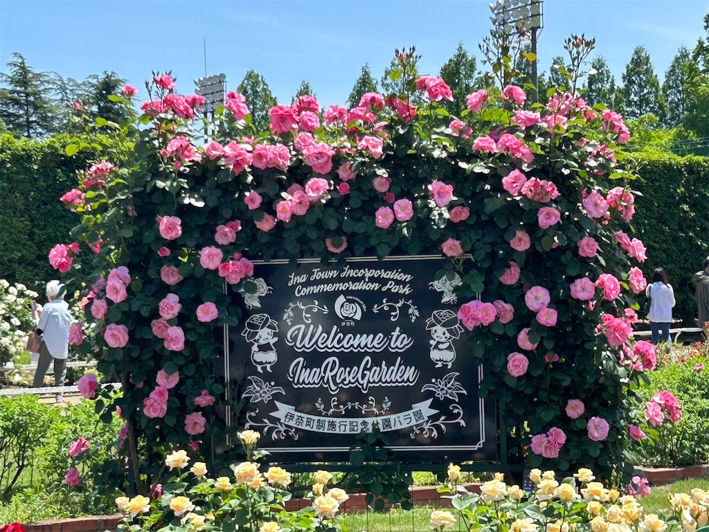 f:id:sayurin-tea:20250512125051j:image