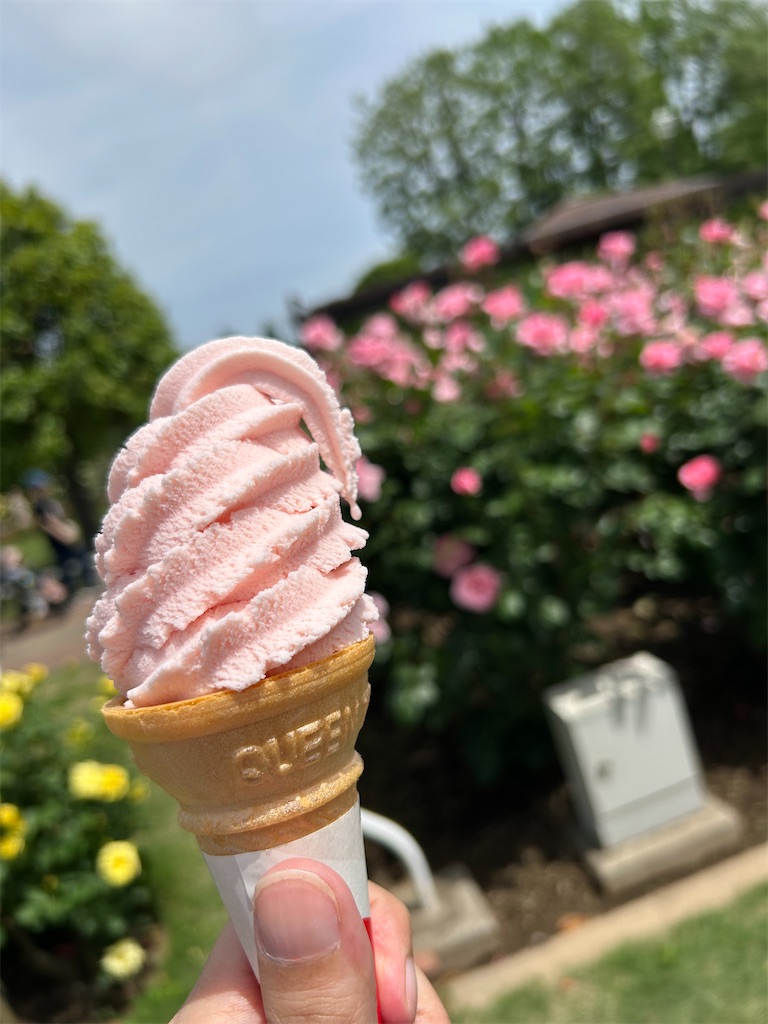 f:id:sayurin-tea:20250512190305j:image