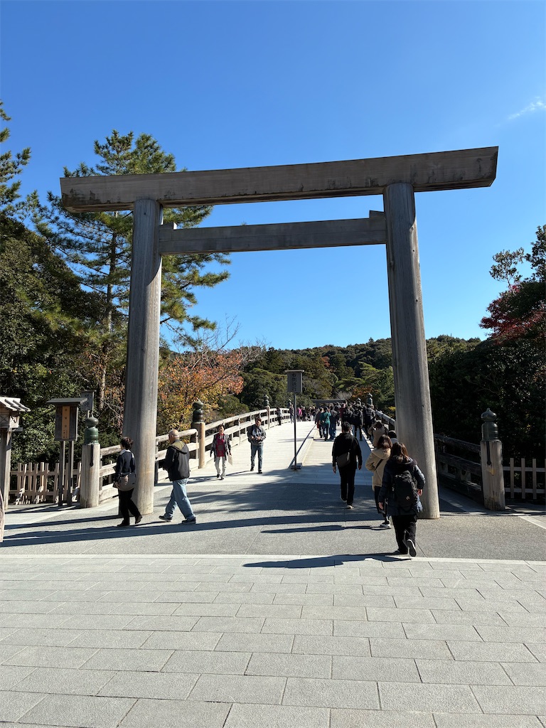 f:id:sayurin-tea:20251124230154j:image f:id:sayurin-tea:20251124230154j:image