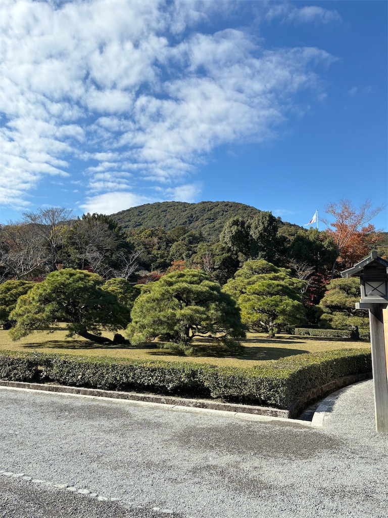 f:id:sayurin-tea:20251124230158j:image f:id:sayurin-tea:20251124230158j:image