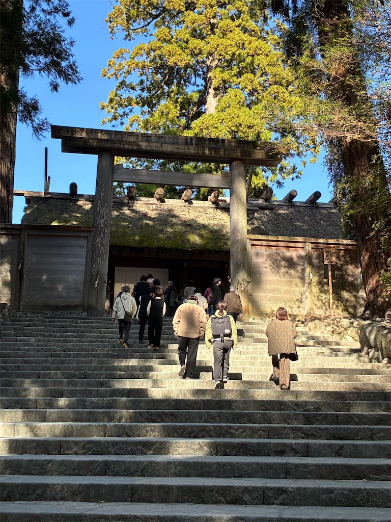 f:id:sayurin-tea:20251124230713j:image f:id:sayurin-tea:20251124230713j:image
