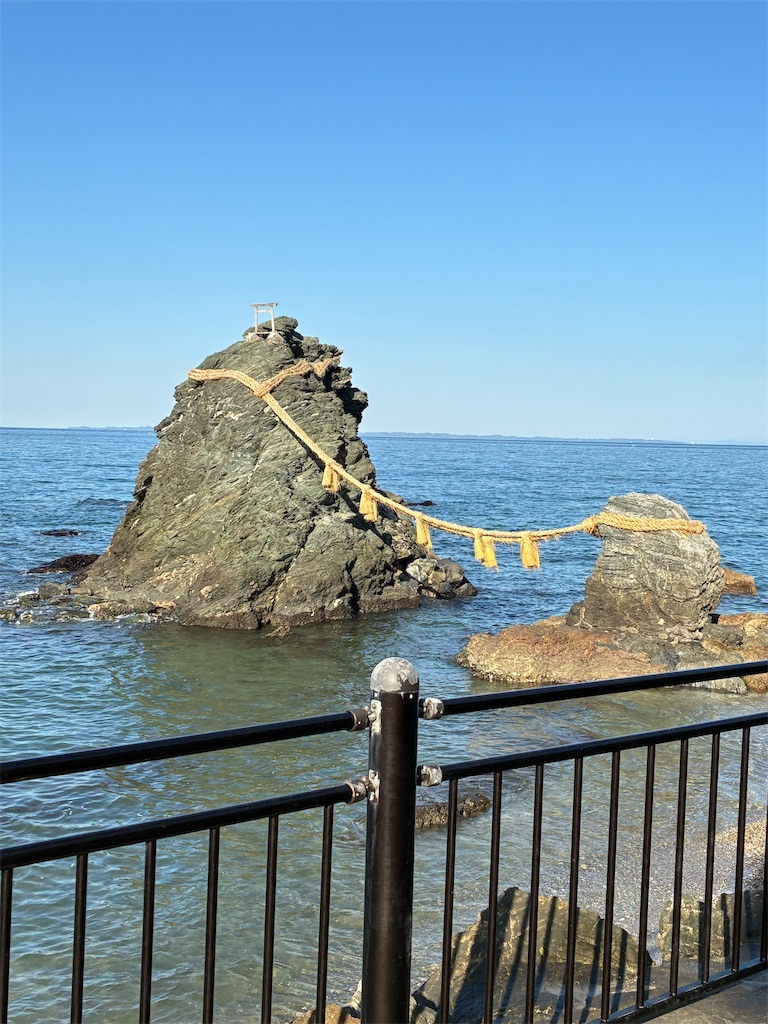 f:id:sayurin-tea:20251124231852j:image f:id:sayurin-tea:20251124231852j:image