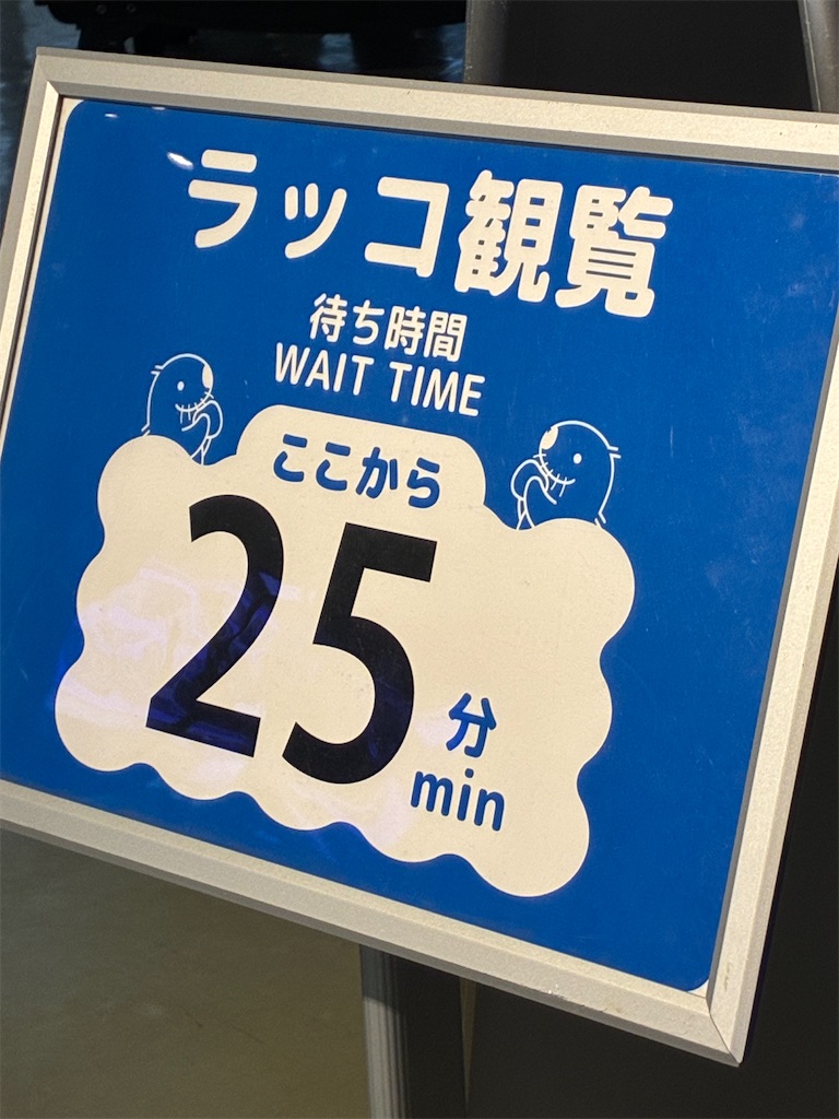 f:id:sayurin-tea:20251203195428j:image f:id:sayurin-tea:20251203195428j:image