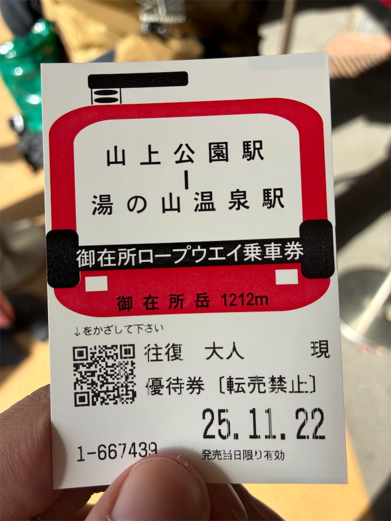 f:id:sayurin-tea:20251206211515j:image f:id:sayurin-tea:20251206211515j:image