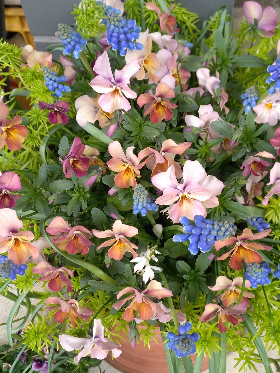 f:id:sayuta:20190328152233j:plain f:id:sayuta:20190328152233j:plain