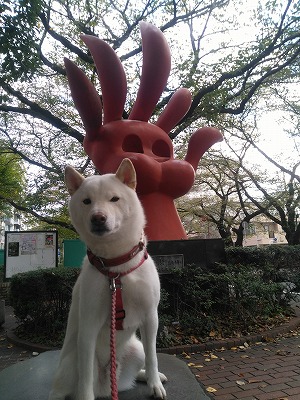 f:id:sayuta:20201021155841j:plain