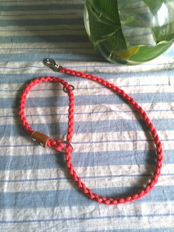 f:id:sayuta:20210307102525j:plain