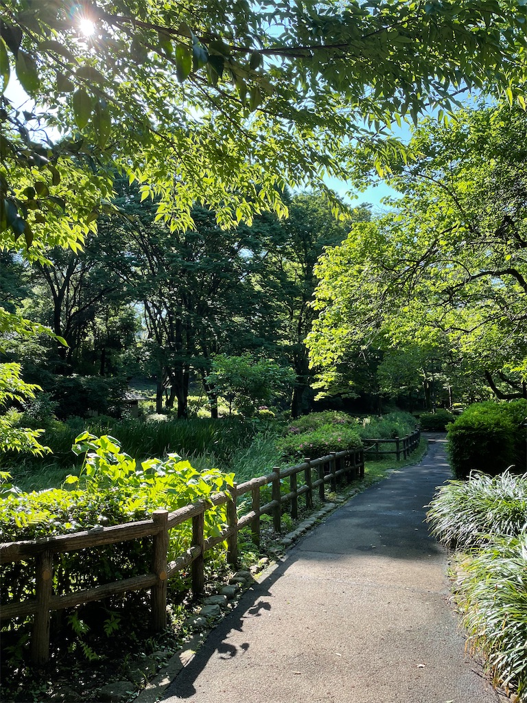 f:id:sayuta:20220531071020j:image