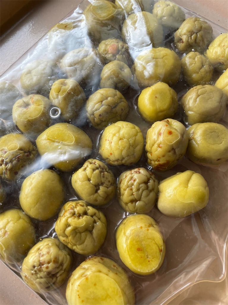 f:id:sayuta:20220607090450j:image f:id:sayuta:20220607090450j:image