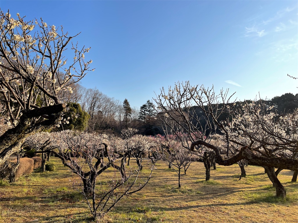 f:id:sayuta:20230304135452j:image f:id:sayuta:20230304135452j:image