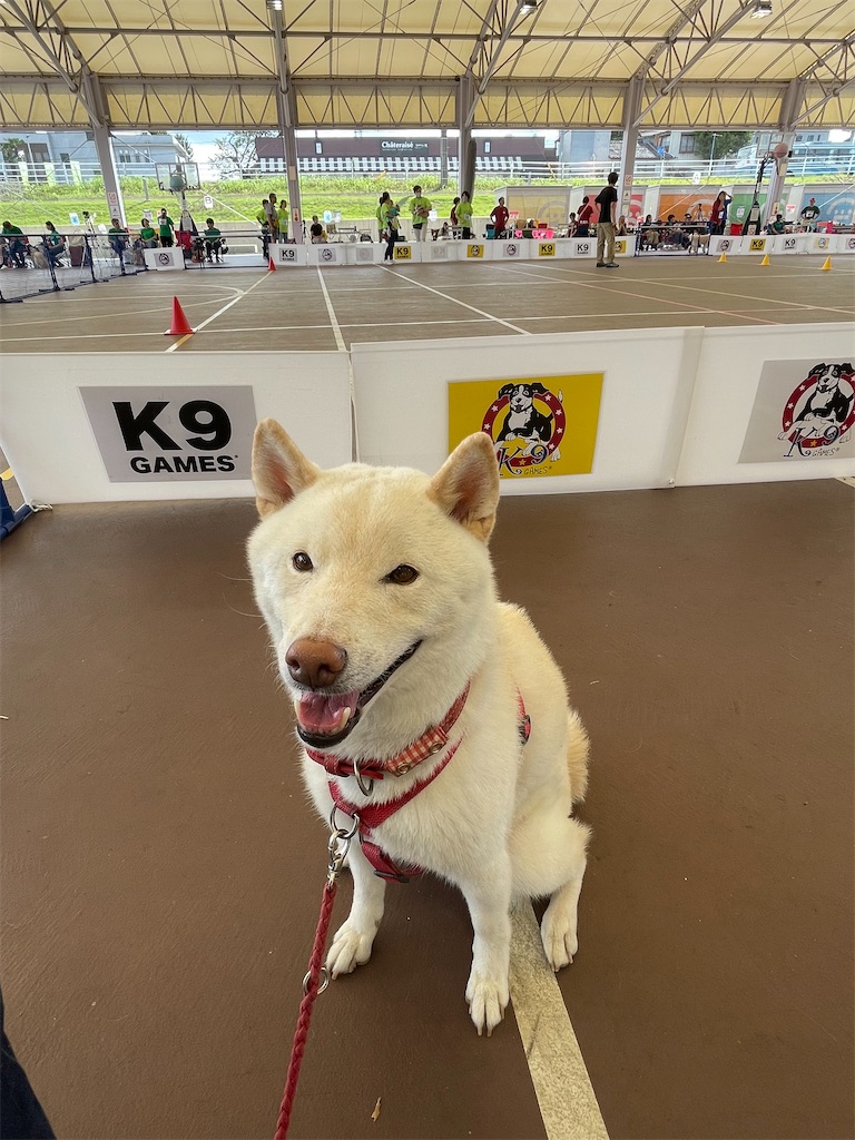 f:id:sayuta:20230929060523j:image f:id:sayuta:20230929060523j:image