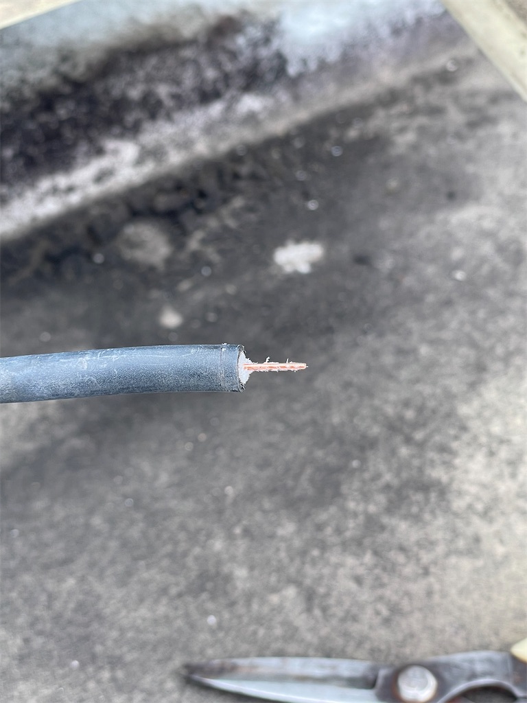 f:id:sayuta:20240406144736j:image